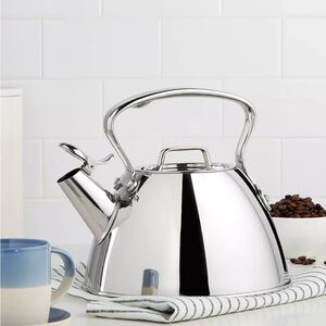 Elegant Silver Tea Kettle with Whistle